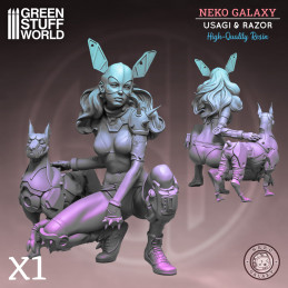 Neko Galaxy - Usagi & Razor Neko Galaxy - Bustos y Figuras