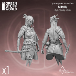 Journeyman Miniatures - Shinobi Journeyman Miniatures - Bustos y Figuras