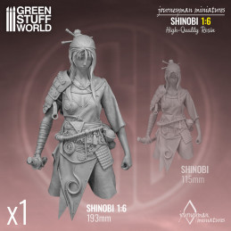 Journeyman Miniatures - Shinobi 1:6 | Journeyman Miniatures