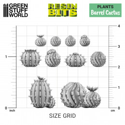 Set stampato in 3D - Cactus grusone | Piante e vegetazione