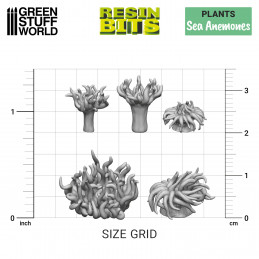 Set imprimé en 3D - Anémones de mer | Plantes et végétation