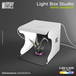 Lightbox Studio | Boîtes à Lumière