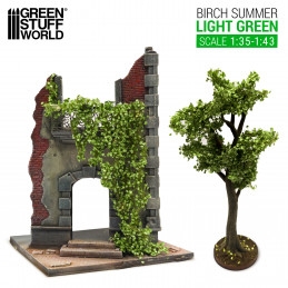 Edera in miniatura - Betulla Verde chiaro - Grande | Edera in miniatura