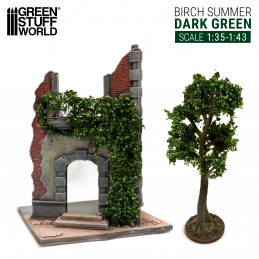 Edera in miniatura - Betulla verde scuro - Grande | Edera in miniatura
