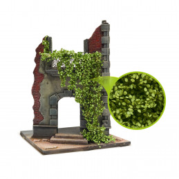 Feuillage lierre miniature - Bouleau Vert clair - Large | Feuillage de lierre miniature