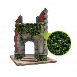 Feuillage lierre miniature - Bouleau vert foncé - Petit | Feuillage de lierre miniature