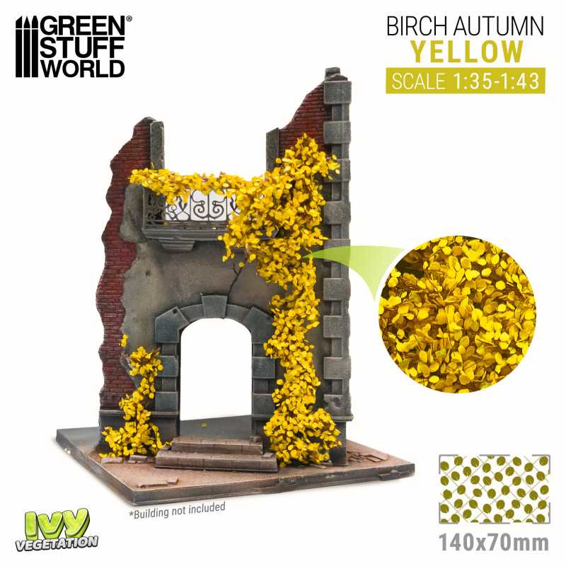 Edera in miniatura - Betulla Giallo - Grande | Edera in miniatura