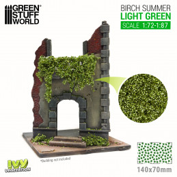Edera in miniatura - Betulla verde chiaro - Piccolo | Edera in miniatura
