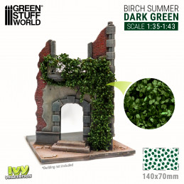 Edera in miniatura - Betulla verde scuro - Grande | Edera in miniatura