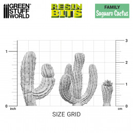Set impreso en 3D - Cactus Saguaro Plantas y vegetacion