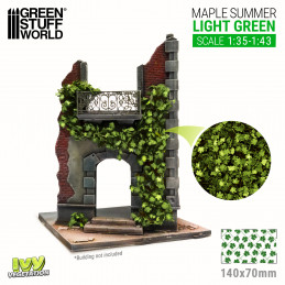 Feuillage lierre miniature - Érable vert clair - Large