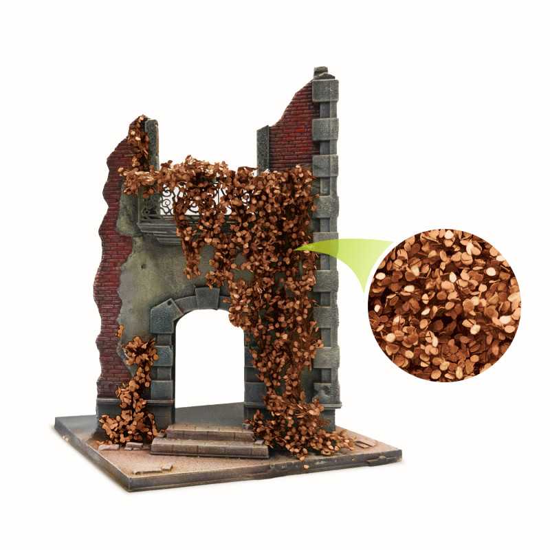Edera in miniatura - Betulla Marrone - Grande Edera in miniatura - Betulla Marrone - Grande