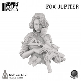 Studio Gakoda - Fox Jupiter