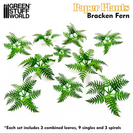 Papierpflanzen - Pteridium Farn | Papierpflanzen
