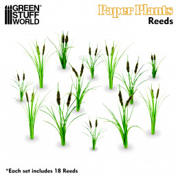 Paper Plants - Reeds | Paper Plants