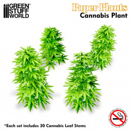 Paper Plants - Cannabis | Paper Plants
