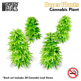 Papierpflanzen - Cannabis | Papierpflanzen