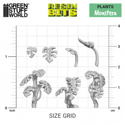 Set stampato in 3D - Piante Monstera