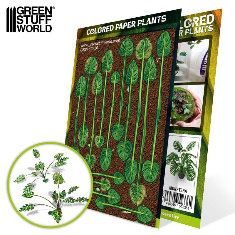Piante di Carta Colorata - Monstera Piante di Carta Colorata - Monstera