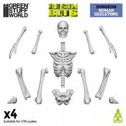 Resin Human Skeletons 1:35