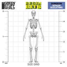 Resin Human Skeletons 1:35