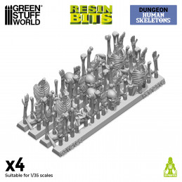 Resin Human Skeletons 1:35
