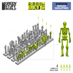 Resin Human Skeletons 1:35