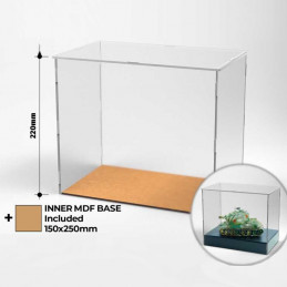 Acrylic Display Case 150x250mm | Miniature Display Cases