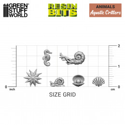 aquatic critters, shells, and clams
