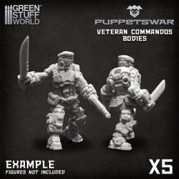 Veteran Commandos Bodies | Resin items