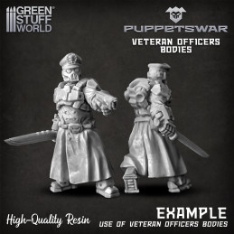 Veteran Officers Bodies | Resin items