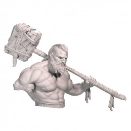 Claymore Miniatures - Aernul the Fearless