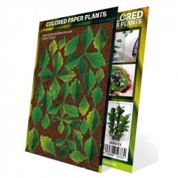 Plantes à Papier Coloré - Bardane