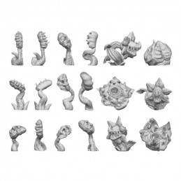 Plantas Carnivoras
