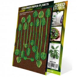 Colored Paper Plants - Monstera