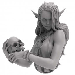 WWTavern Figures - Laedria the Necromancer