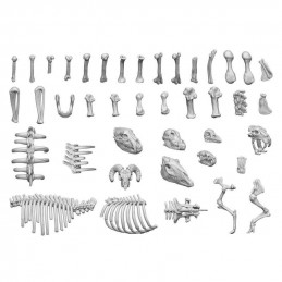 3D printed set - Animal Bones 1:48