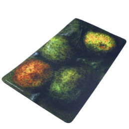 2D Neoprene Terrain - Forest with 4 trees