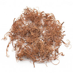 Diorama Tree Roots | Model Roots