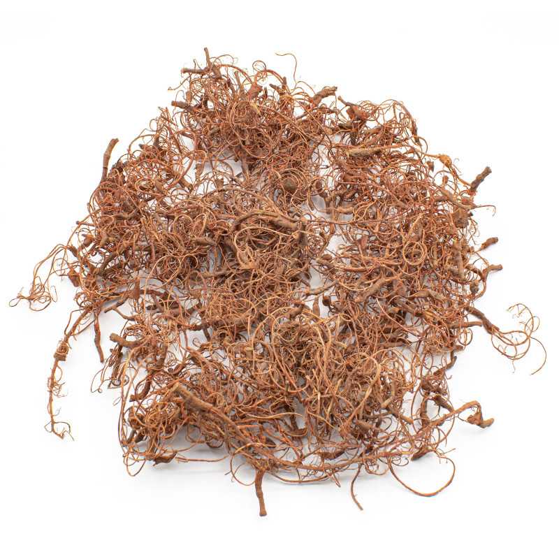 Diorama Tree Roots | Model Roots Diorama Tree Roots | Model Roots