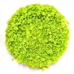 Tree Bush Clump Foliage - Light Green - 200ml