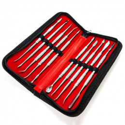 10x Professional Sculpting Tools with case