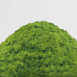 Cesped Electrostatico 2-3mm - SPRING GRASS - 200ml
