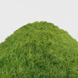 Cesped Electrostatico 9-12mm - SPRING GRASS - 200ml