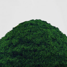 Cesped Electrostatico 2-3mm - DEEP GREEN MEADOW - 200ml