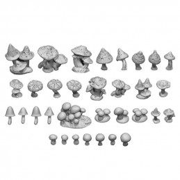 Wild Mushrooms