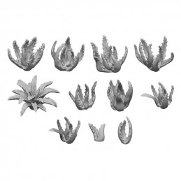 Set stampato in 3D - Aloe Vera
