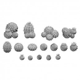 3D printed set - Barrel Cactus
