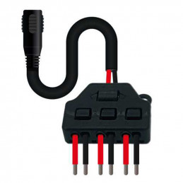Conector Rapido x3 salidas + Cable JACK