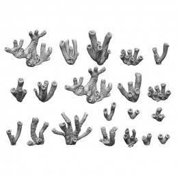 Set imprimé en 3D - Coraux
